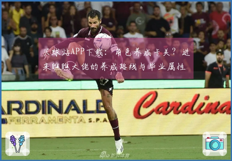 买球站APP下载：角色养成卡关？进来瞧瞧大佬的养成路线与毕业属性分享！