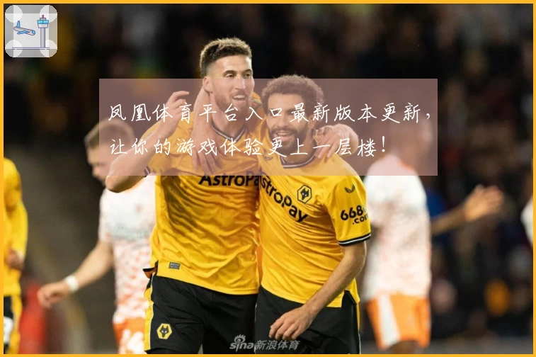 凤凰体育平台入口最新版本更新，让你的游戏体验更上一层楼！